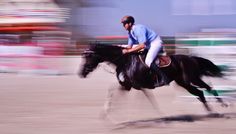 Superbe imagini: “Cai in miscare” de Stefan Hutu