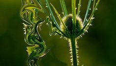 Mircea Albu, “Elemente” @ Muzeul de Artă Cluj-Napoca