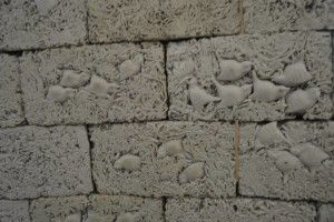 Ceramica lui Ilie Rusu