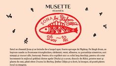 ȘONA LUI ȘTEFAN CÂLȚIA joi, 10 decembrie Kube Musette