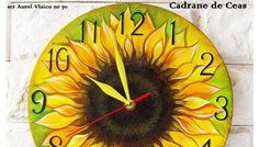 Cursuri si evenimente @ Alandala Cafe