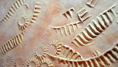 Workshop de ceramica @ Muzeul Vasile Grigore