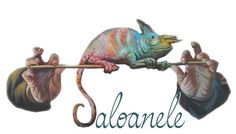 „Saloanele Moldovei” – expozitia internationala concurs – editia a-XXVI-a