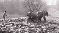 OM DE TREABĂ ȚĂRANUL – Muzeul Național al Țăranului Român