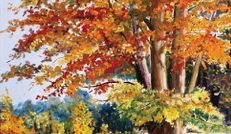 Luminiţa Cornelia Nicolau @ Galeria Labyrinth