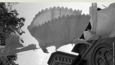 TOAMNĂ ȚĂRĂNEASCĂ Târg al Galeriei de Artă Țărănească