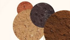 GALATEEA NOW / DOCUMENT 2016