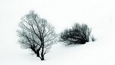 Winter`s tales @ Metropolis Center