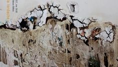 Expoziţia Entropomorfe, semnată Mirela Iordache @ Galeriile Carol