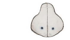 MNAC anunță lansarea volumului Horia Bernea – Caiete