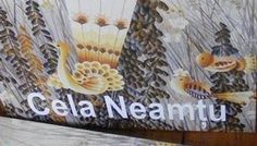 Lansare album Cela Neamtu