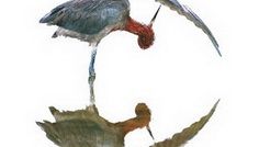 Dunăvățul de jos – Delta Dunării la Elite Art Gallery