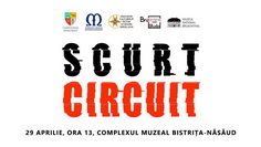 „Scurt circuit”, expoziție de artă contemporană, Complexul Muzeal Bistrița-Năsău
