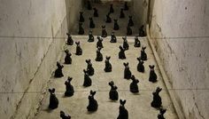 Fundația Art Encounters lansează apelul pentru program lde rezidențe artistice din toamnă