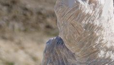 Vernisajul Taberei Internaționale de Sculptură în Piatră Măciuca