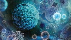 Muzeul Victor Babeș își redeschide porțile